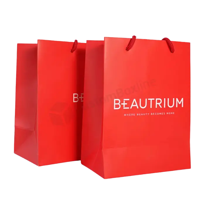 Printed Flat Paper Bags